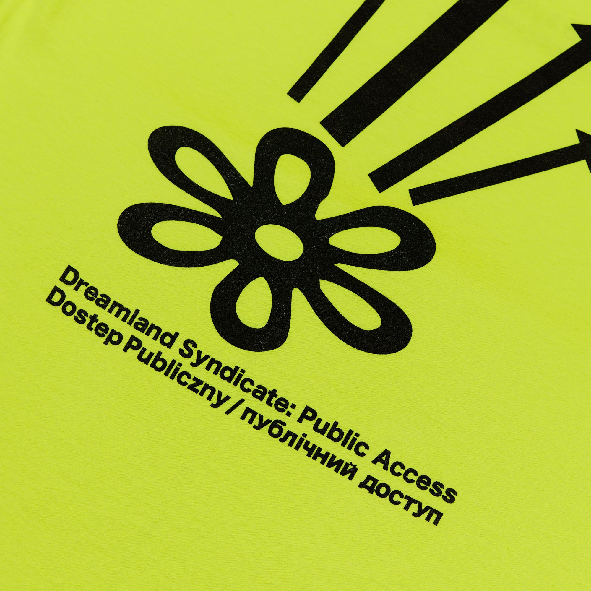 Dreamland Syndicate PUBLIC ACCESS T-SHIRT